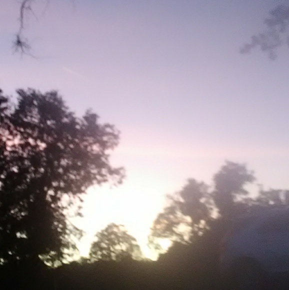 Meet your Posher, Alexis - Picture 1 of 1